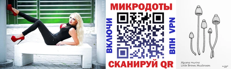 Псилоцибиновые грибы Psilocybe Жирновск